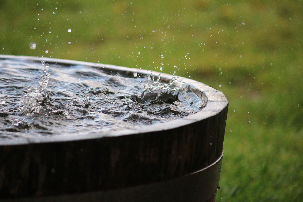 Rainwater Harvesting Guide: Benefits, System Components and Installation Advice