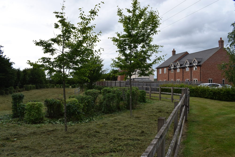 What Is a Sustainable Urban Drainage System (SuDS)? Best Practices for Modern Developments