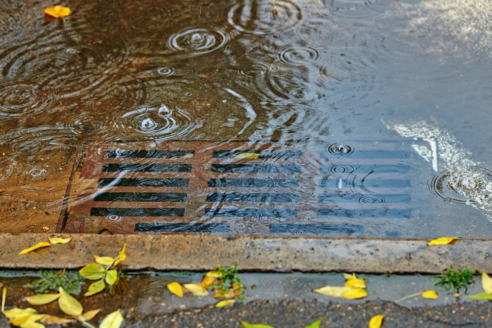 What Causes Blocked Drains? Key Reasons & How to Prevent Them
